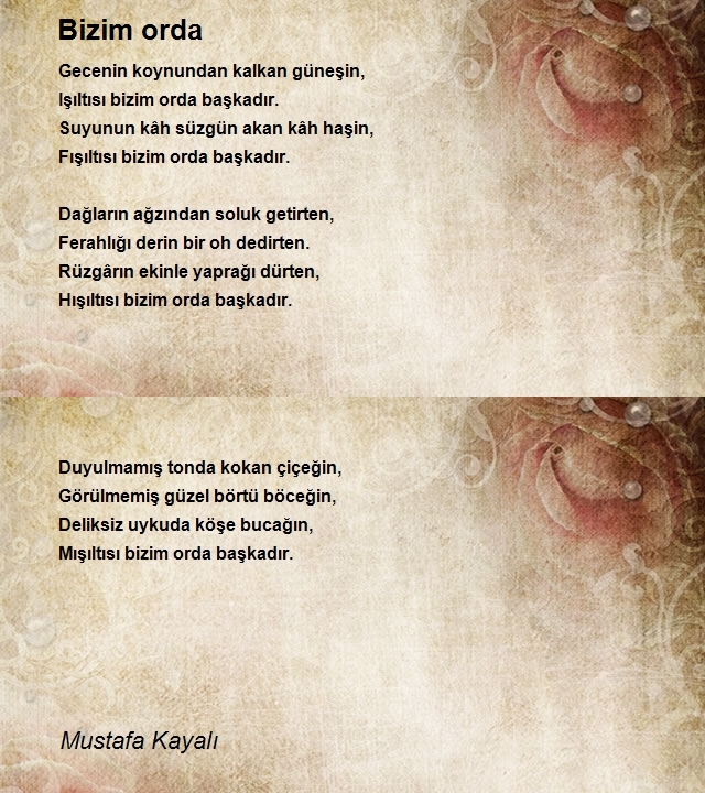 Mustafa Kayalı