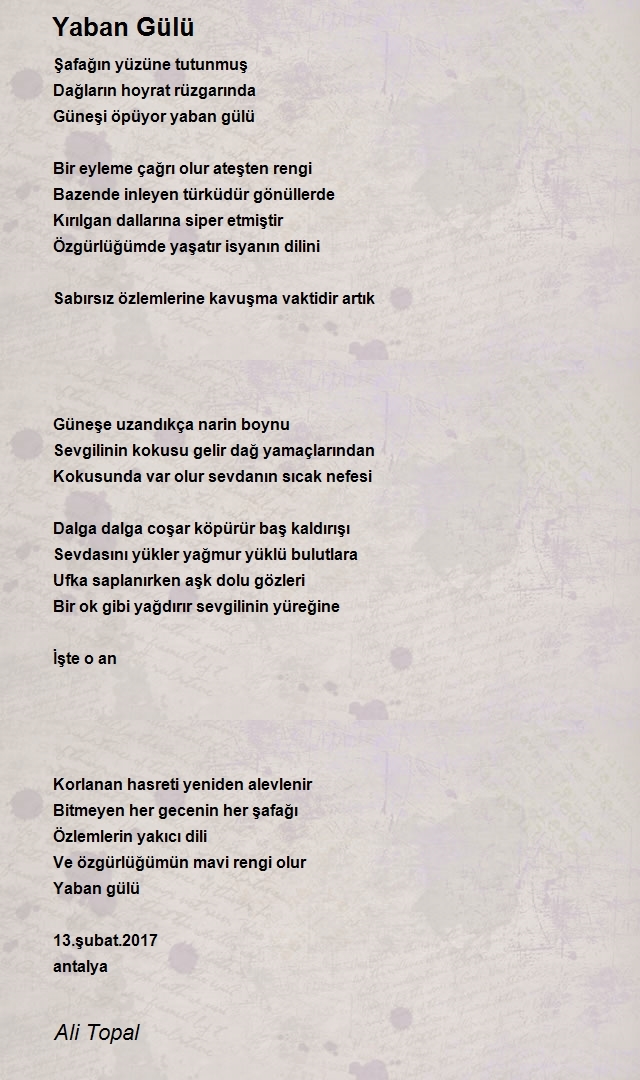 Ali Topal