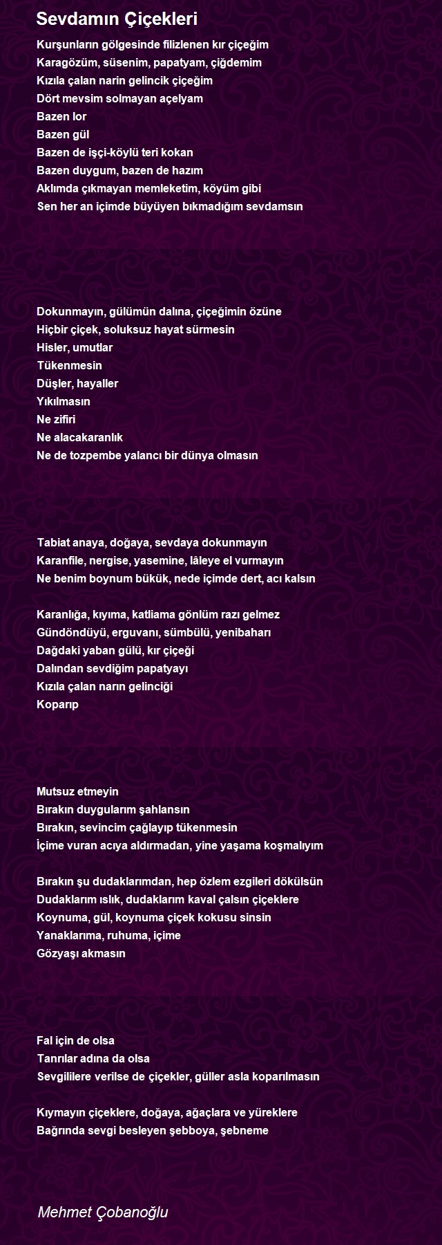 Mehmet Çobanoğlu