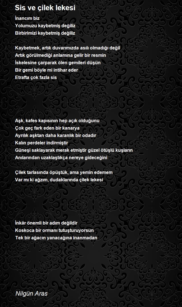 Nilgün Aras