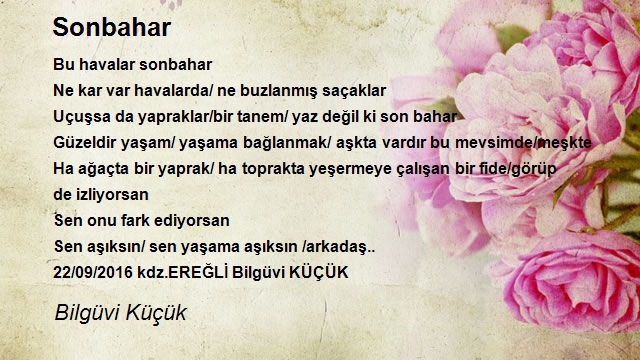 Bilgüvi Küçük