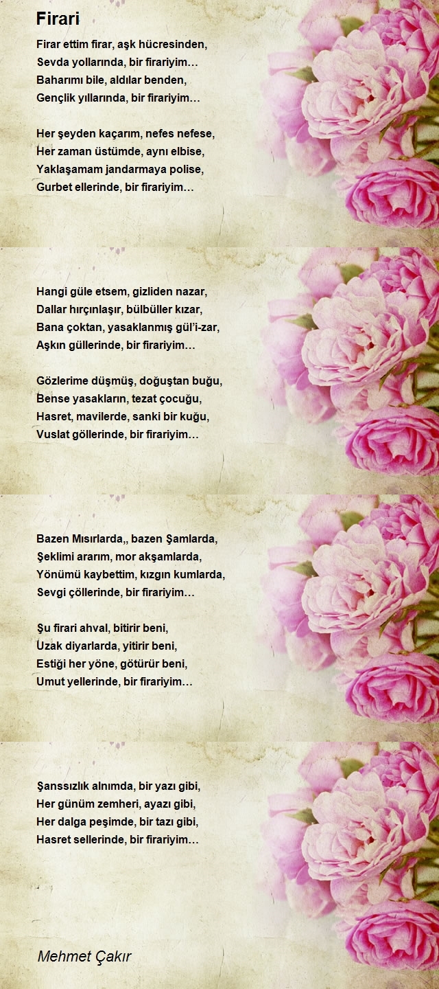 Mehmet Çakır