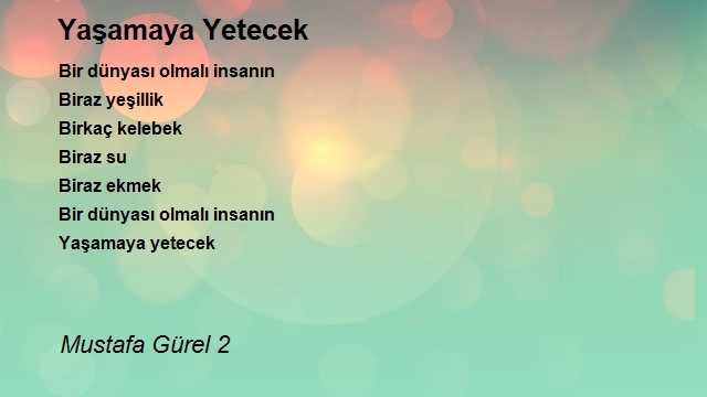Mustafa Gürel 2