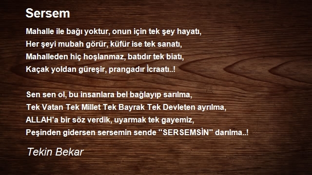 Tekin Bekar