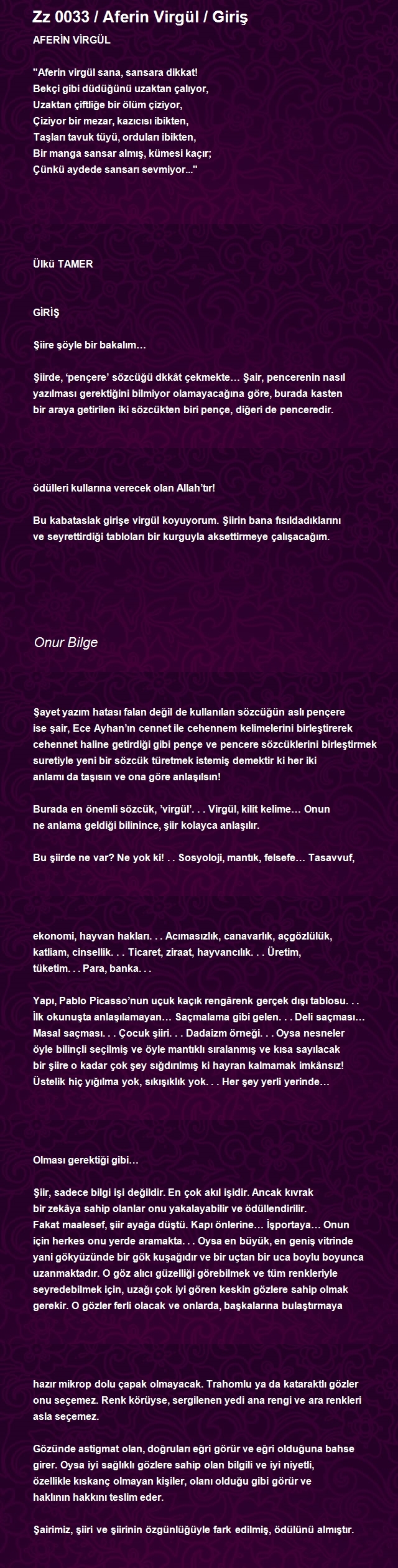 Onur Bilge