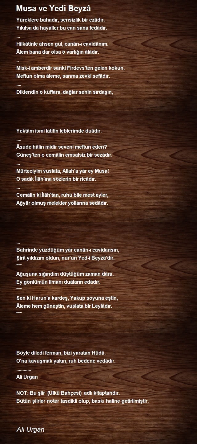Ali Urgan