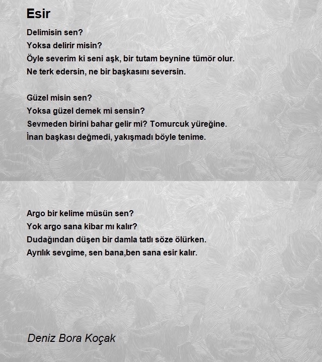 Deniz Bora Koçak