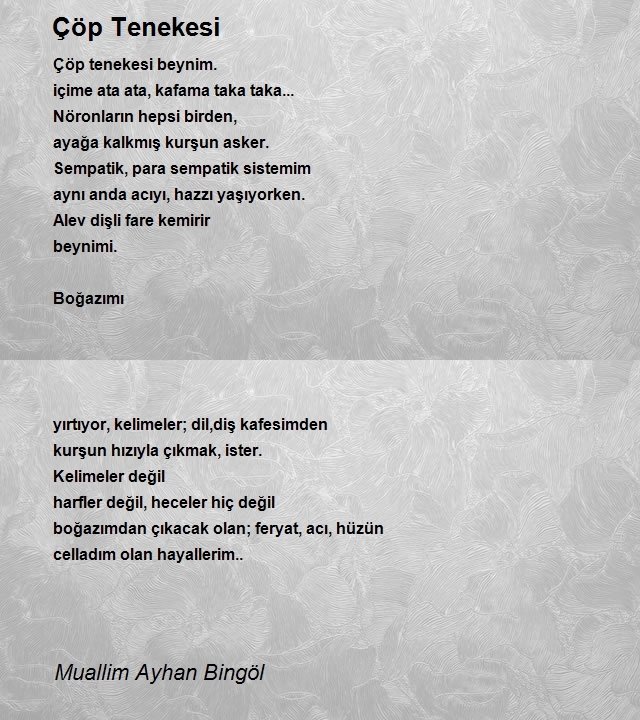 Muallim Ayhan Bingöl