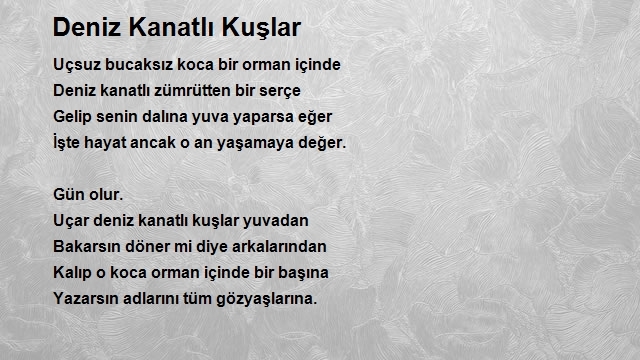 Ferdi Yılmaz