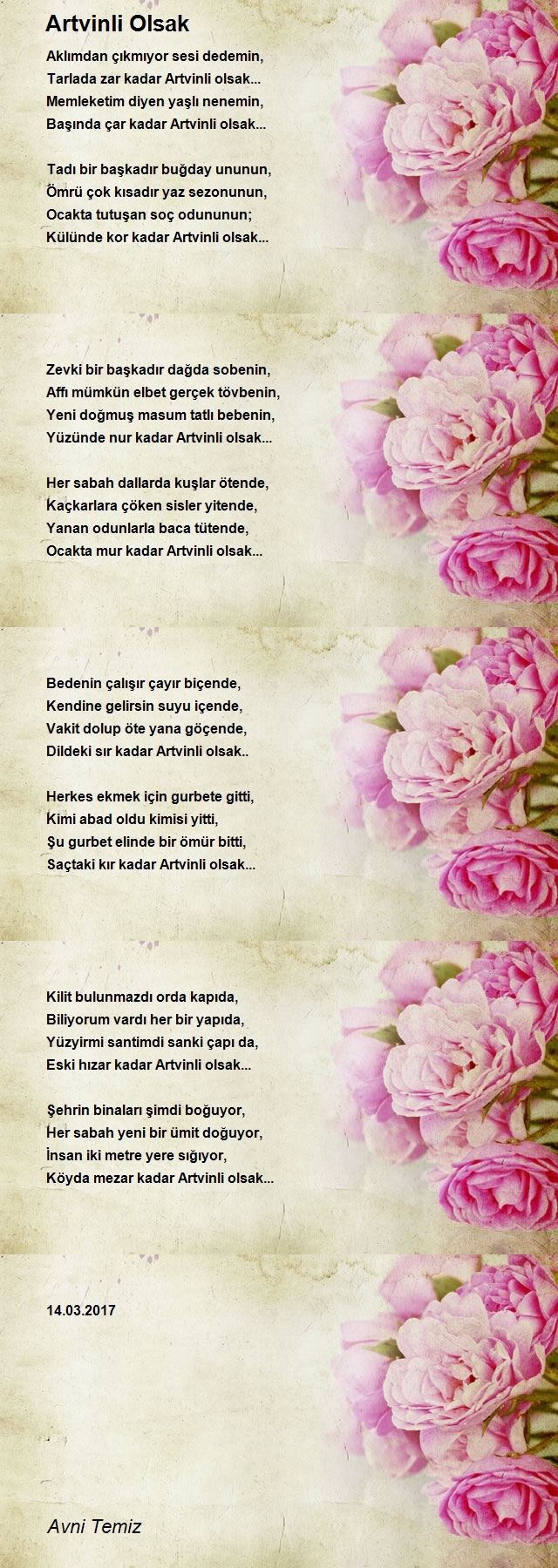 Avni Temiz