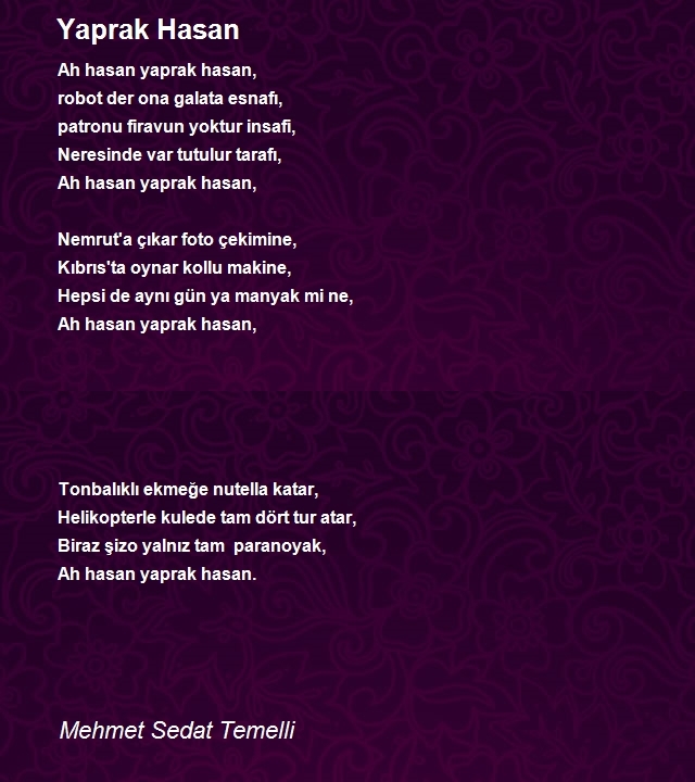 Mehmet Sedat Temelli
