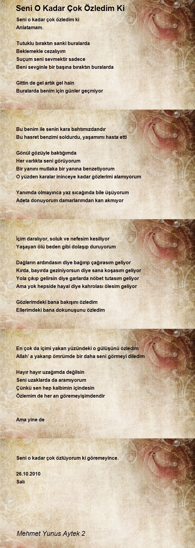 Mehmet Yunus Aytek 2
