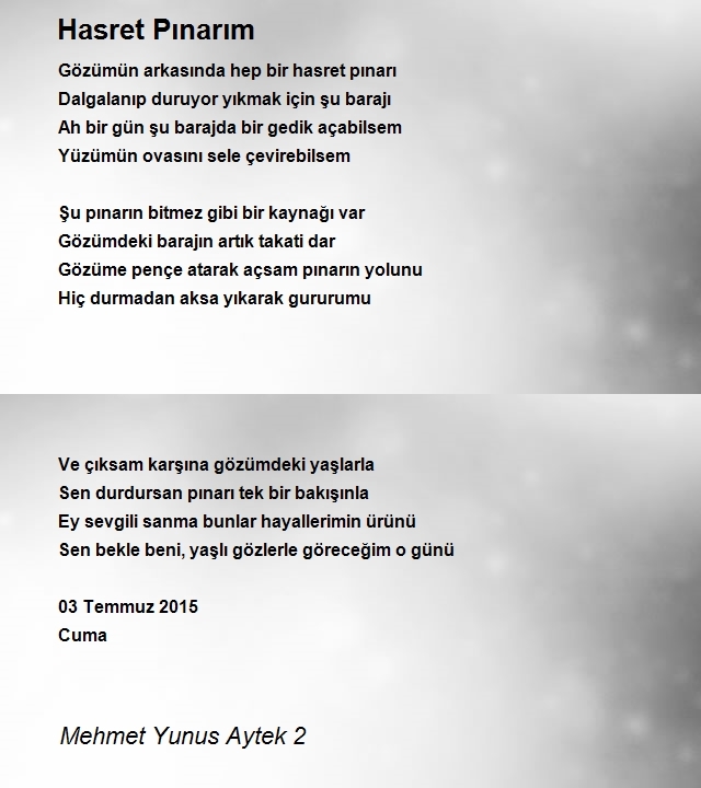 Mehmet Yunus Aytek 2