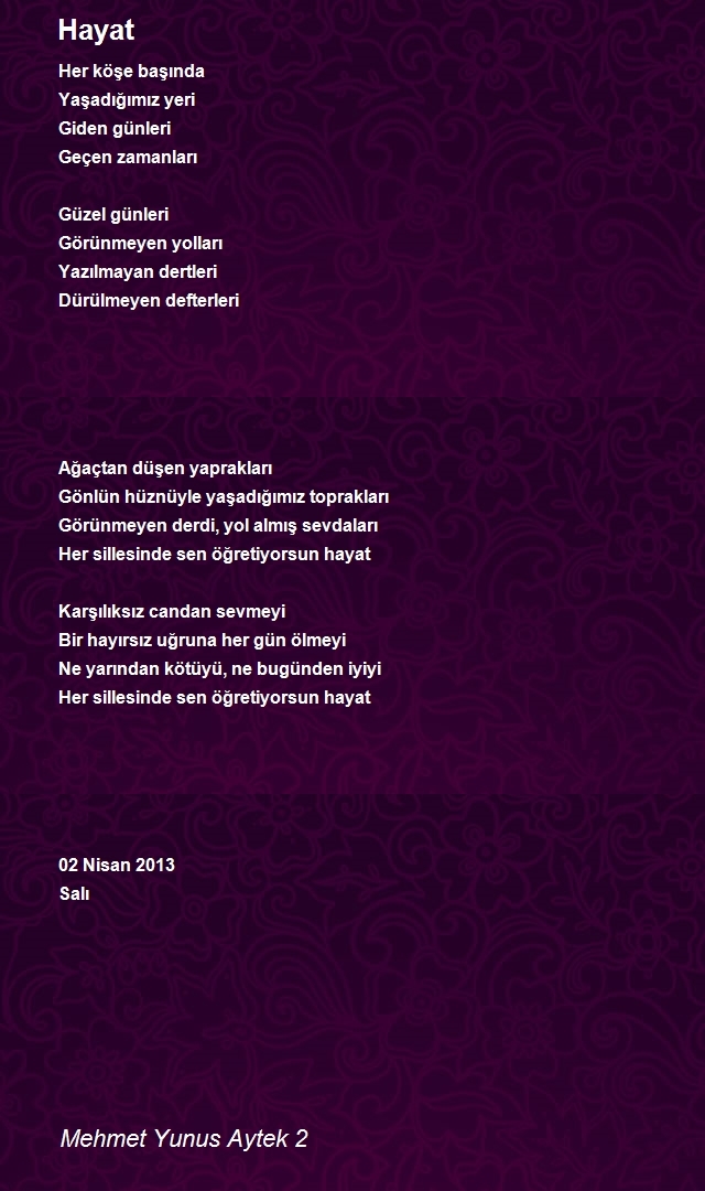 Mehmet Yunus Aytek 2