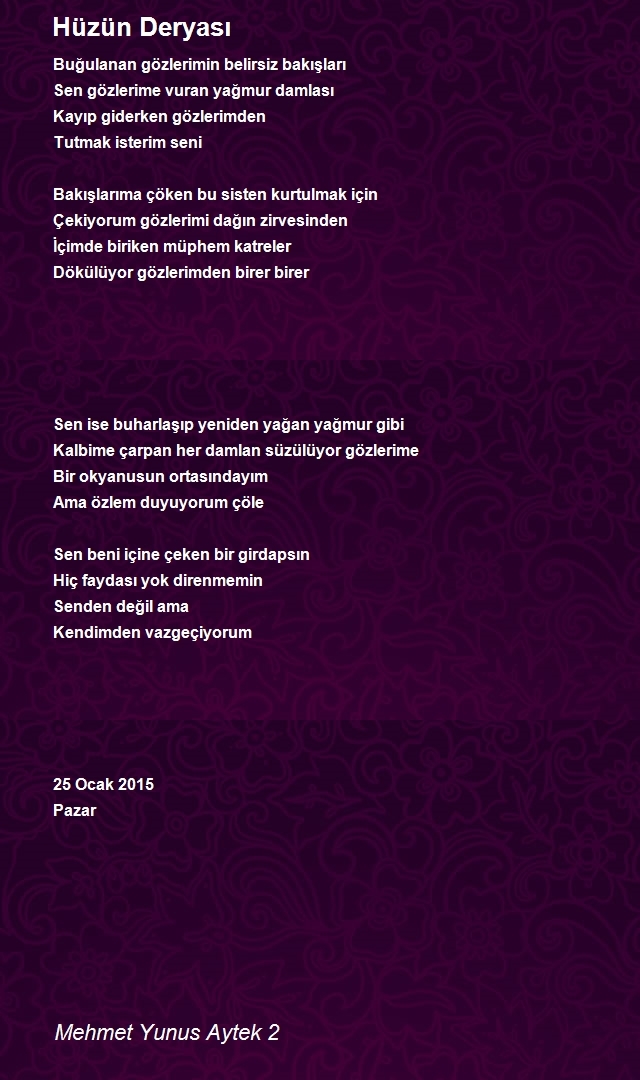 Mehmet Yunus Aytek 2