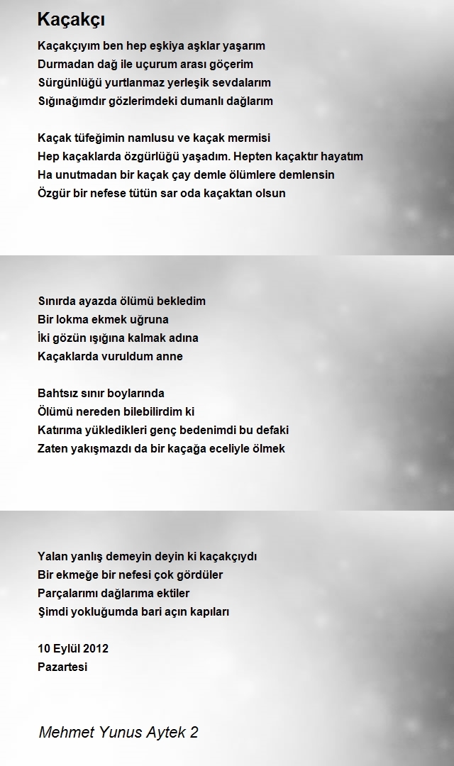Mehmet Yunus Aytek 2