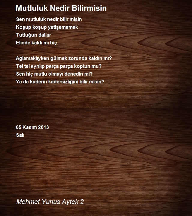 Mehmet Yunus Aytek 2