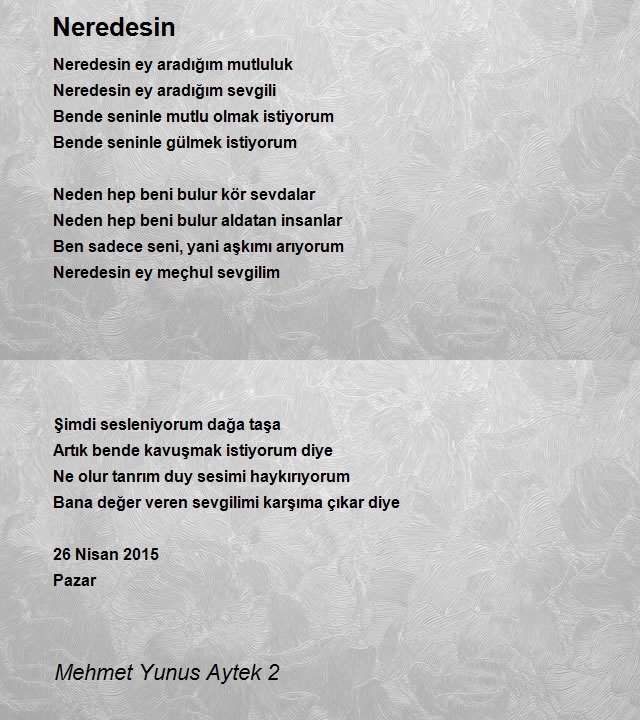 Mehmet Yunus Aytek 2