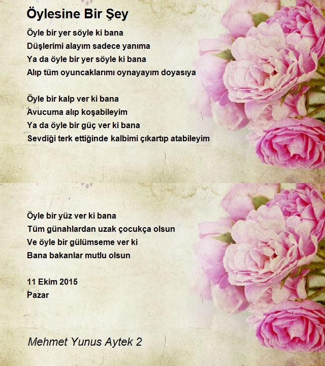 Mehmet Yunus Aytek 2