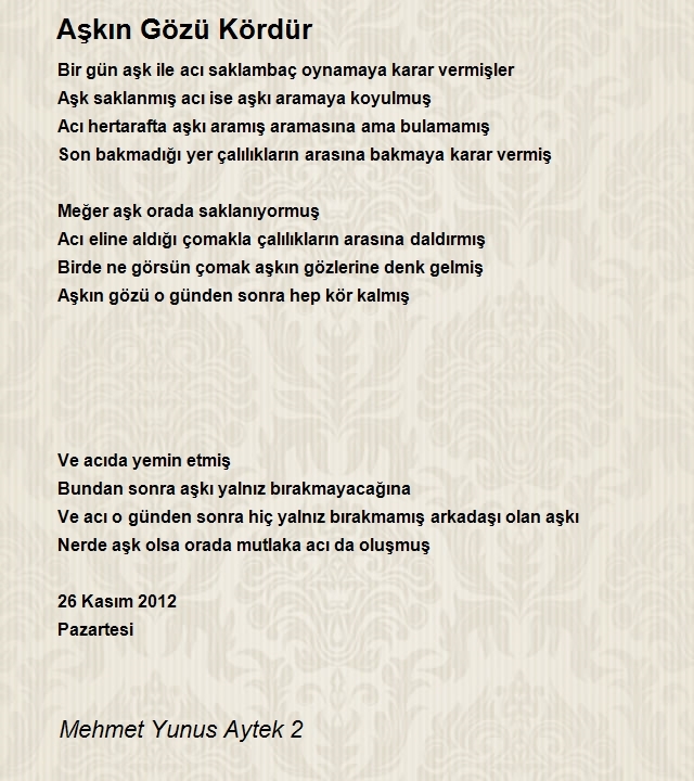 Mehmet Yunus Aytek 2