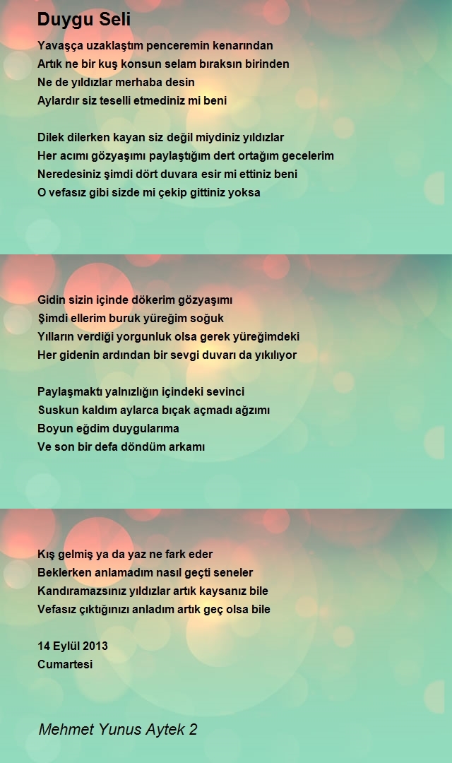 Mehmet Yunus Aytek 2