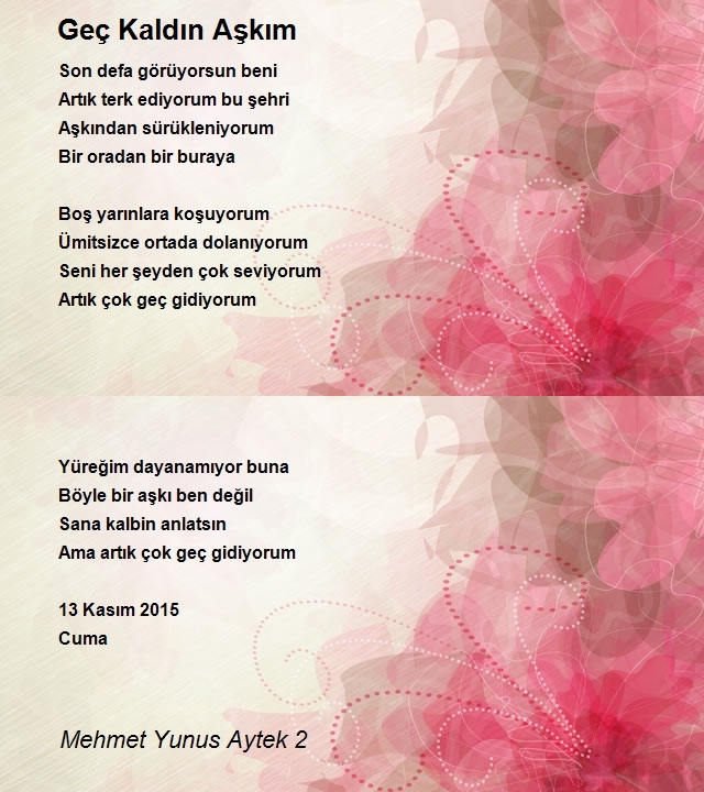 Mehmet Yunus Aytek 2