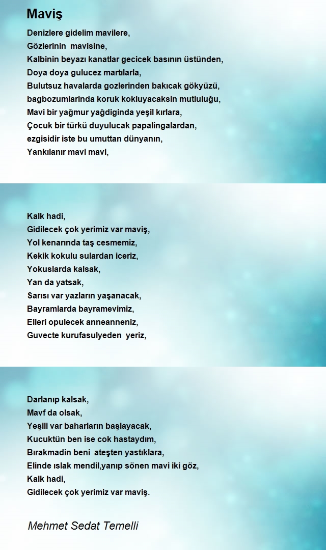 Mehmet Sedat Temelli