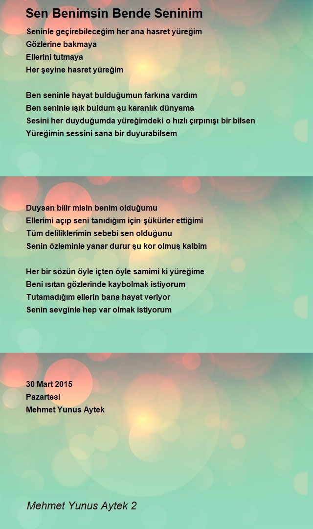 Mehmet Yunus Aytek 2