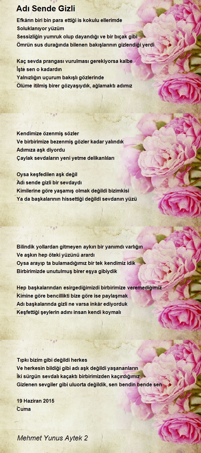 Mehmet Yunus Aytek 2