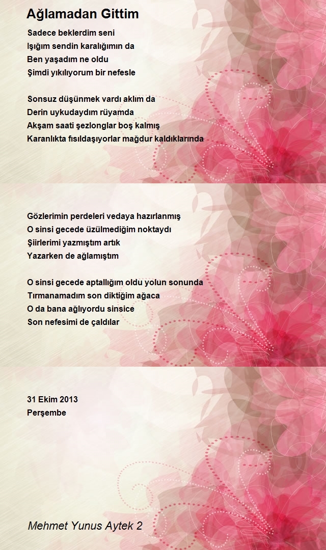 Mehmet Yunus Aytek 2