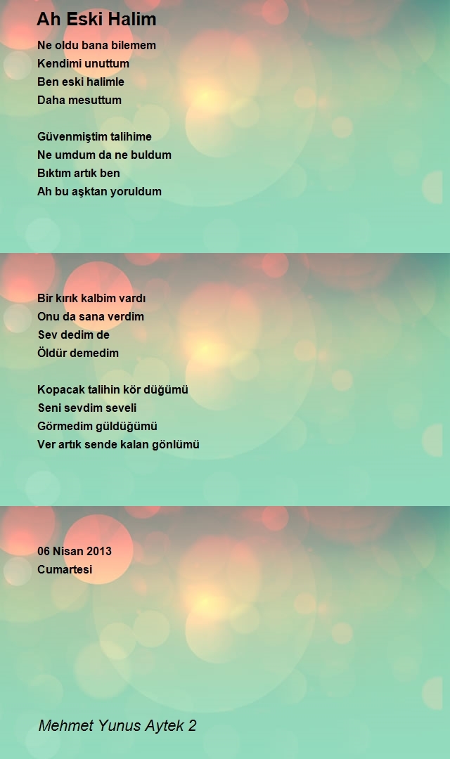 Mehmet Yunus Aytek 2