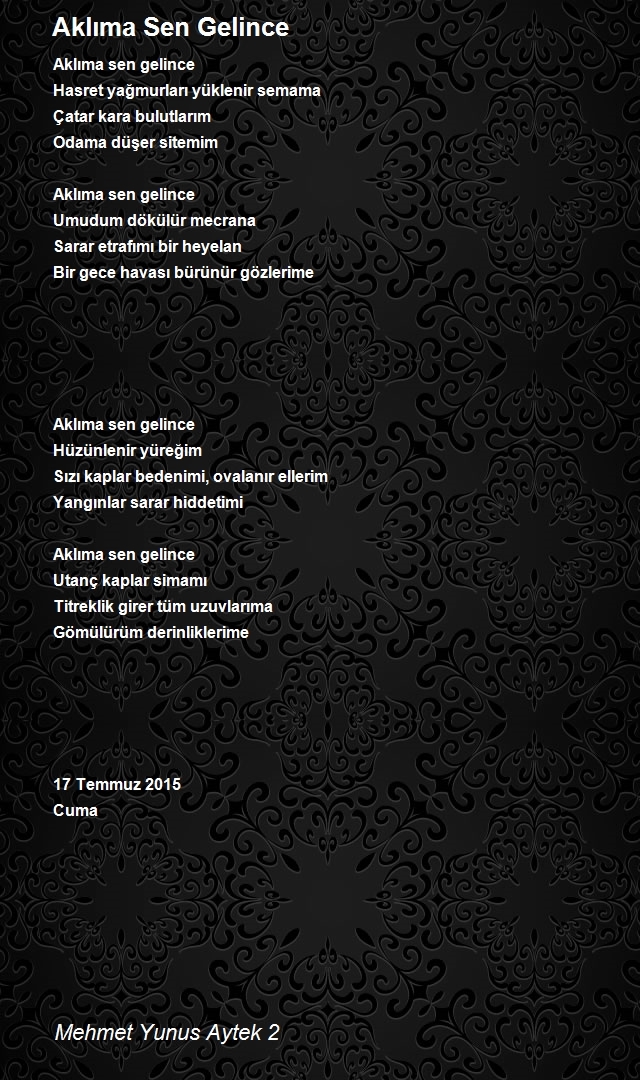 Mehmet Yunus Aytek 2