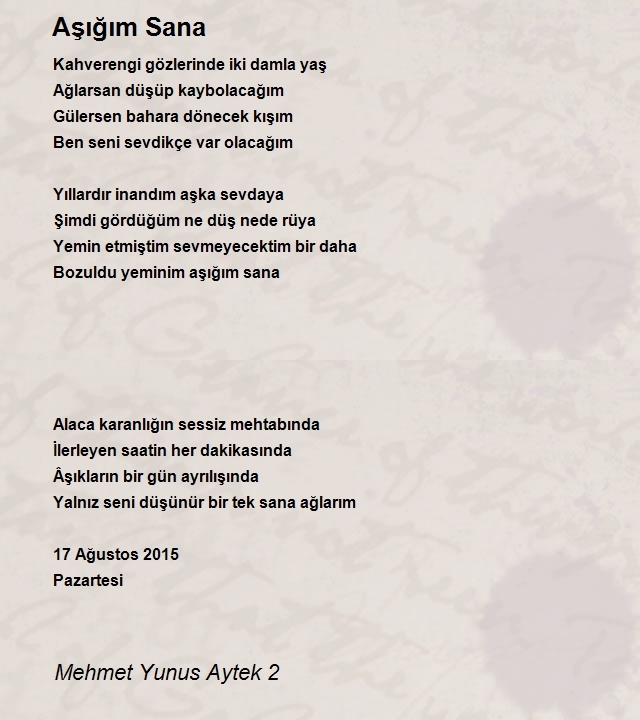 Mehmet Yunus Aytek 2