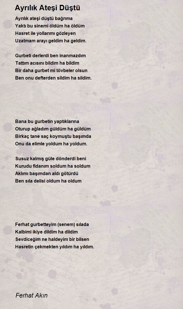 Ferhat Akın