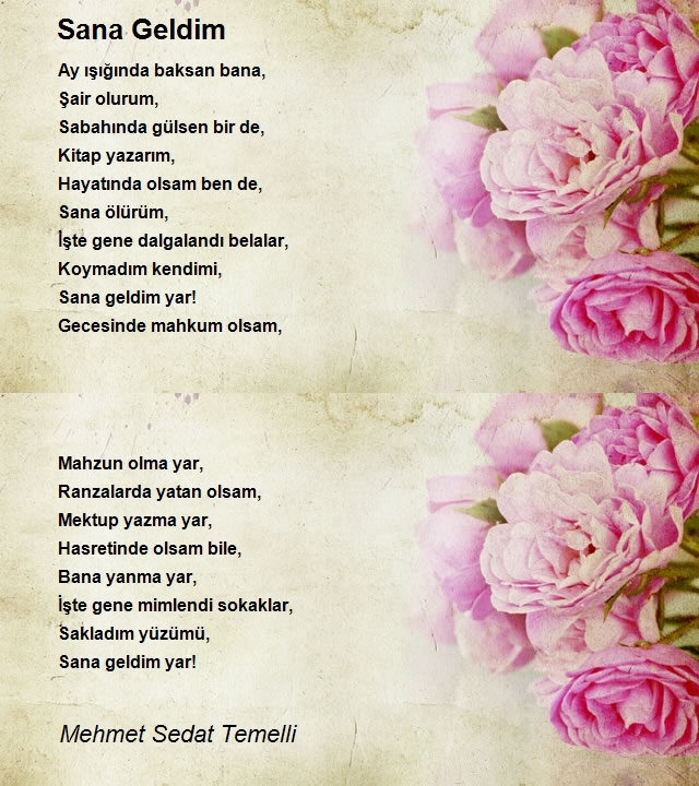 Mehmet Sedat Temelli