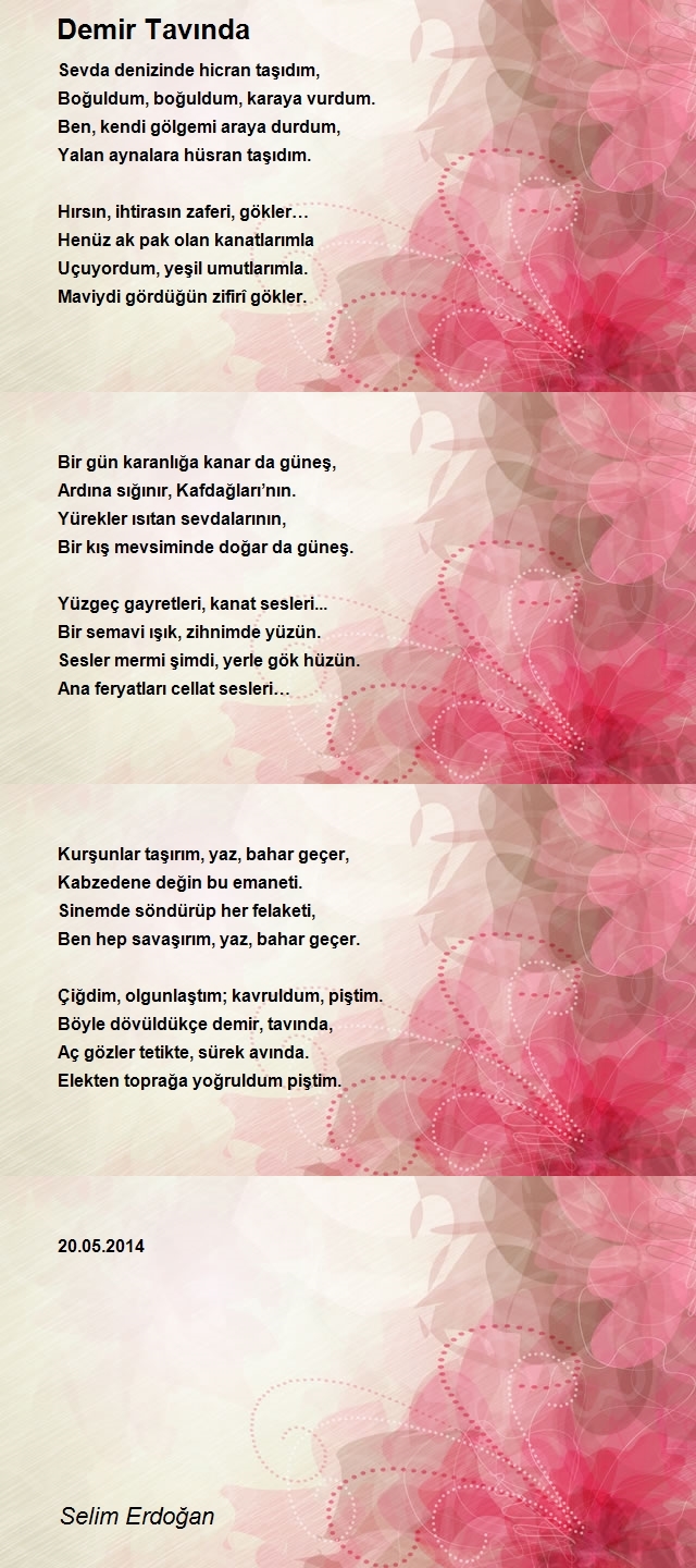 Selim Erdoğan