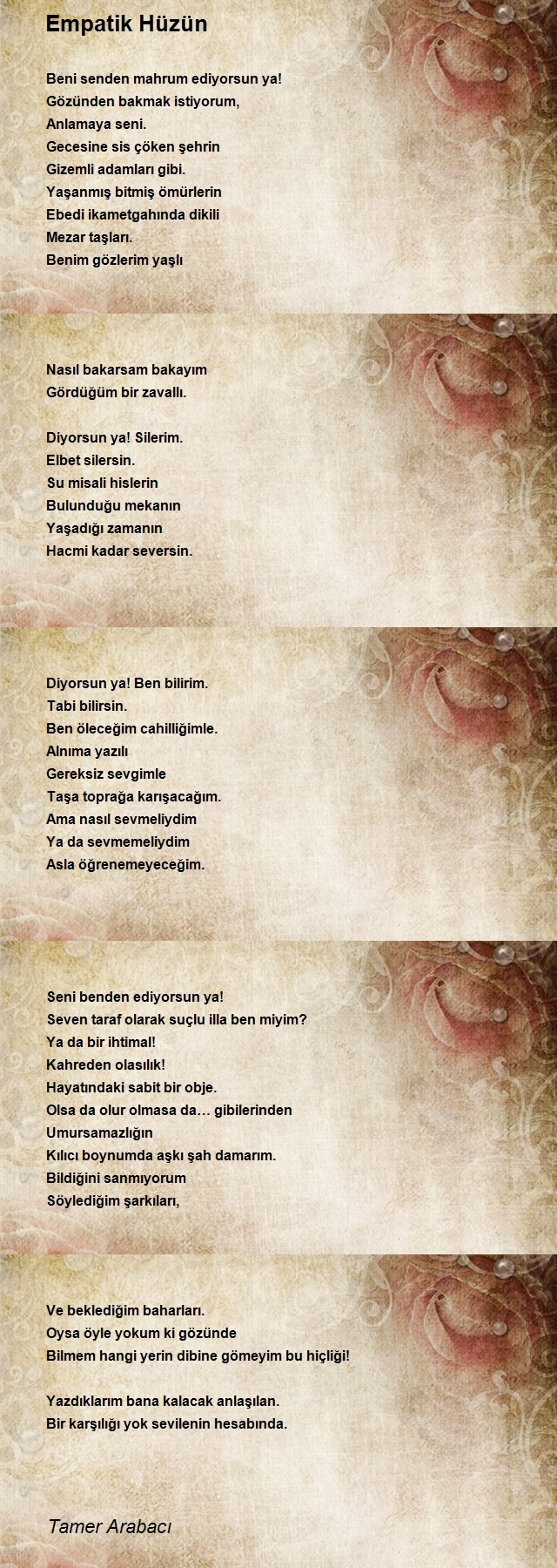 Tamer Arabacı