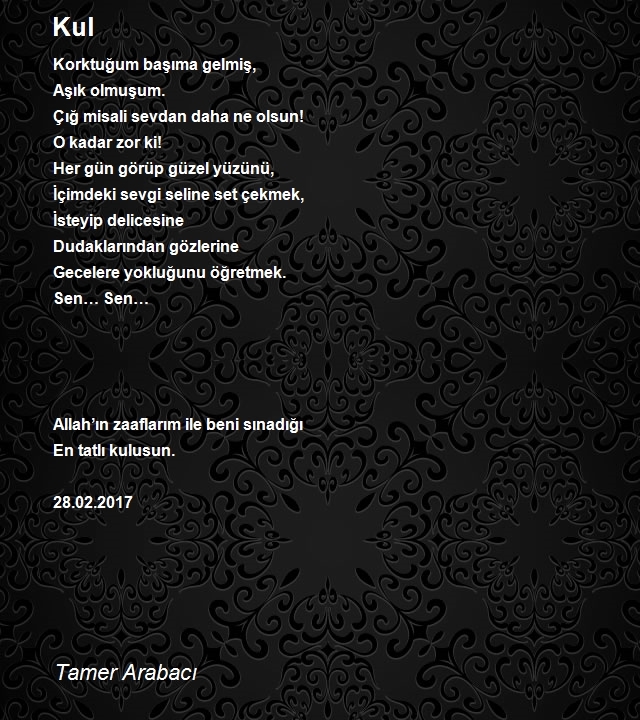 Tamer Arabacı
