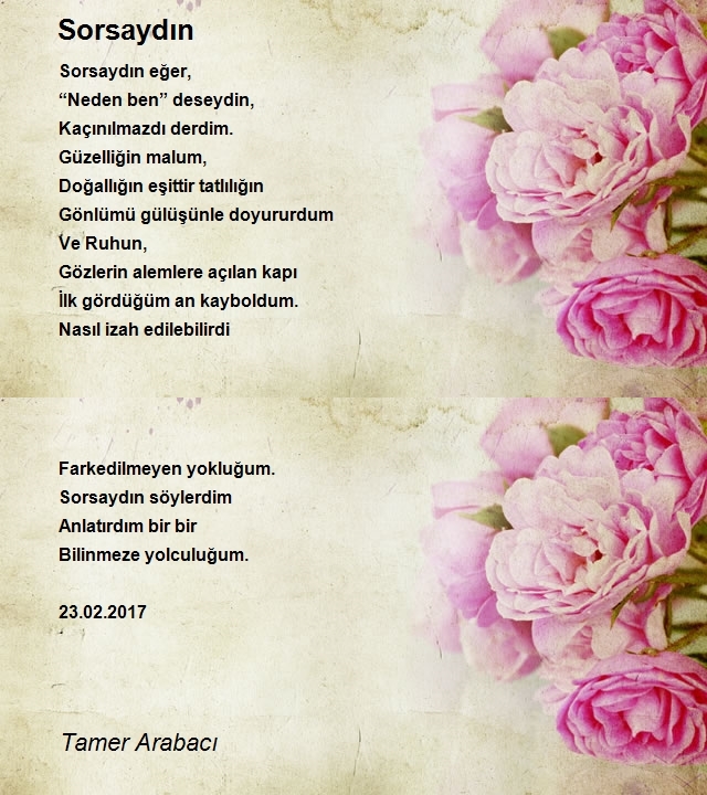 Tamer Arabacı