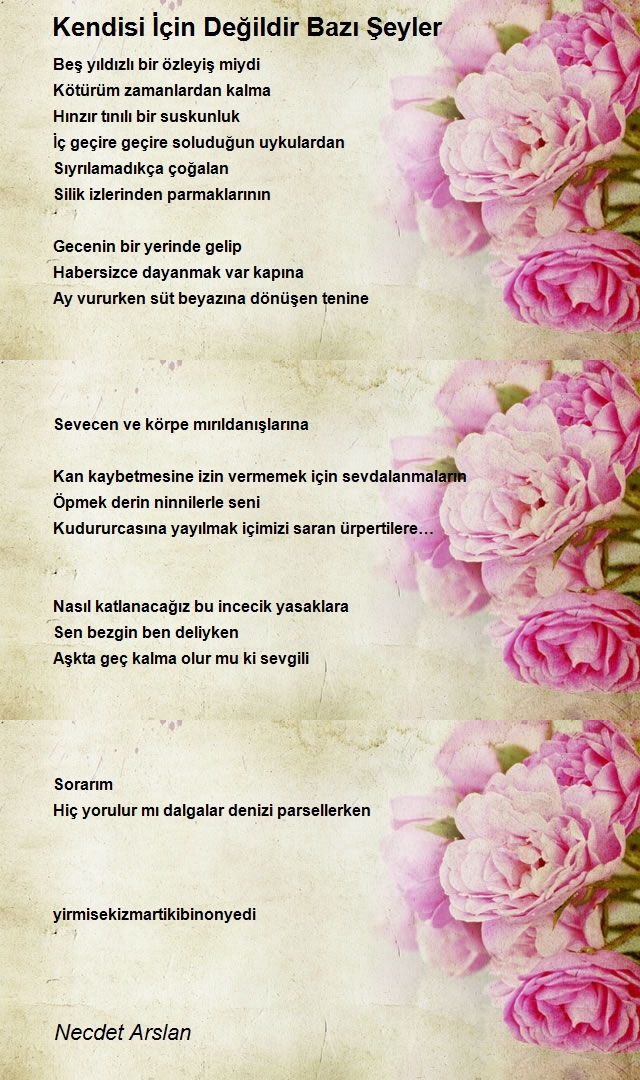 Necdet Arslan