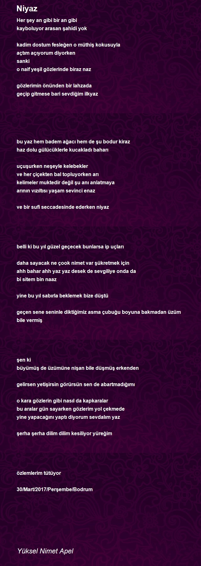 Yüksel Nimet Apel