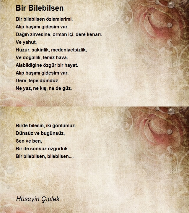 Hüseyin Çıplak
