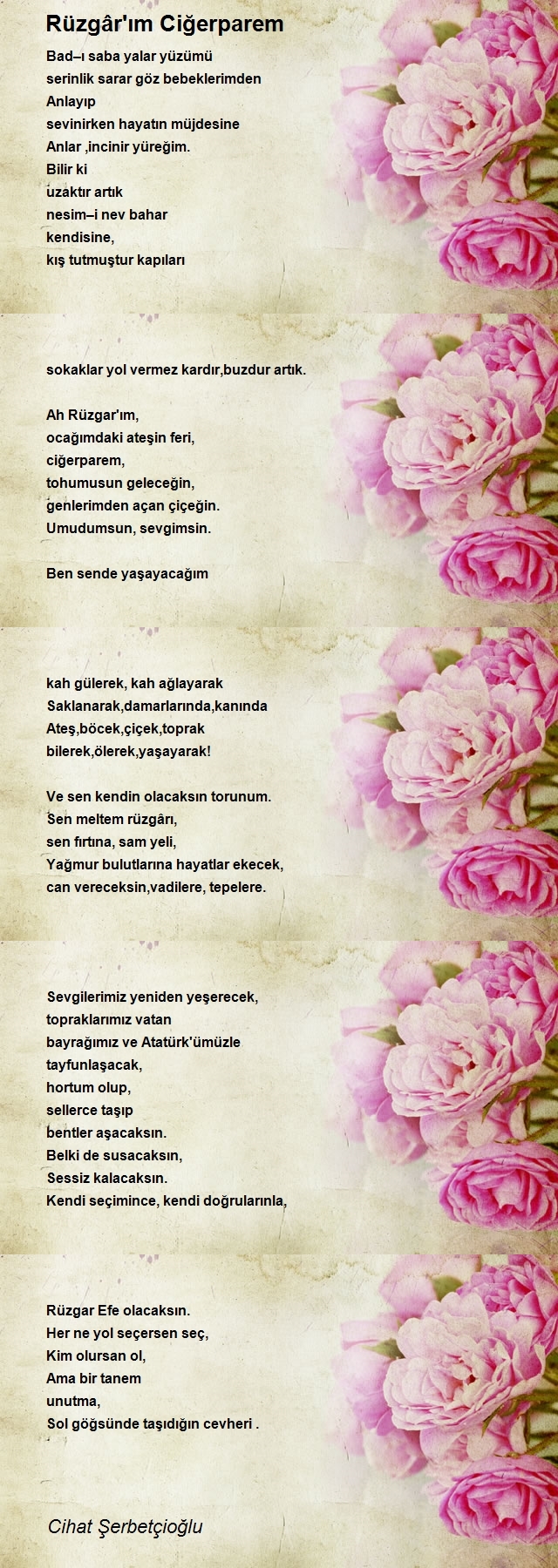 Cihat Şerbetçioğlu