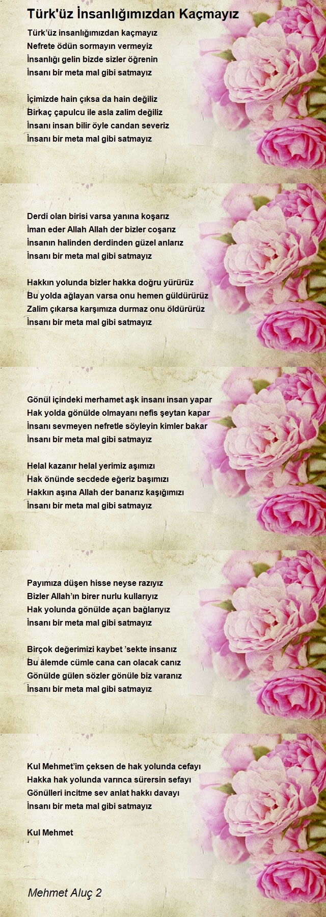 Mehmet Aluç 2