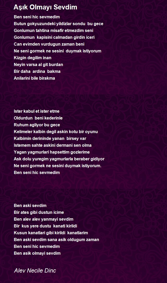 Alev Necile Dinc