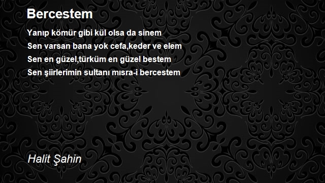 Halit Şahin