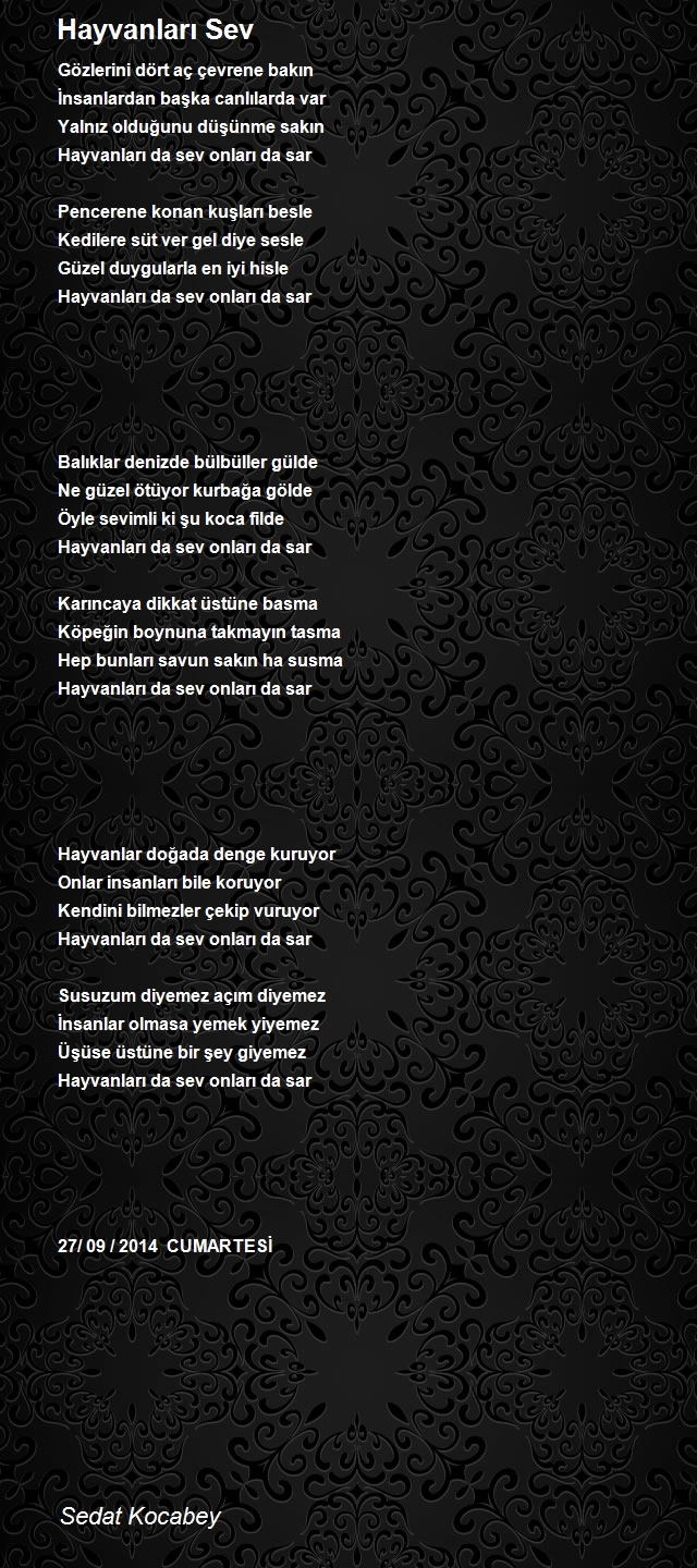 Sedat Kocabey