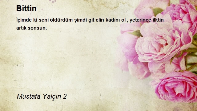 Mustafa Yalçın 2