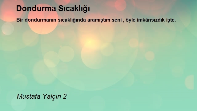 Mustafa Yalçın 2