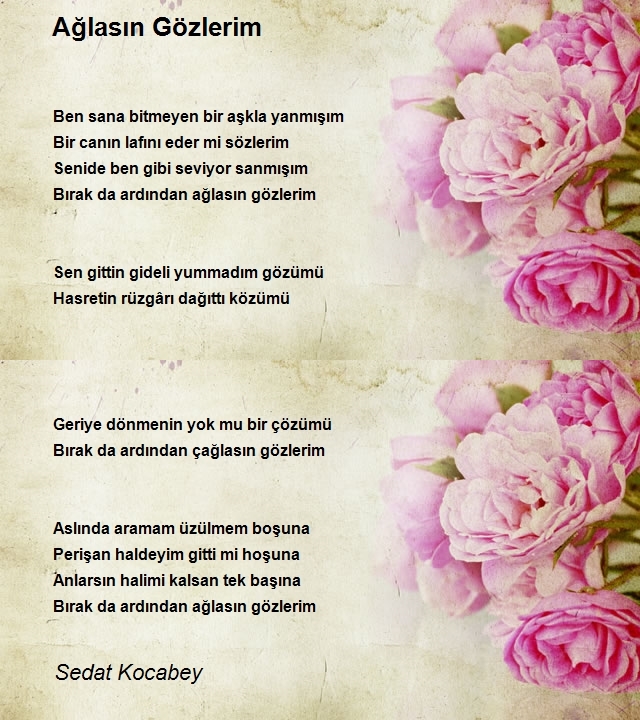 Sedat Kocabey